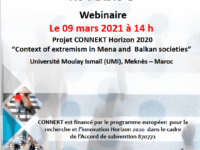 Invitation à un webinaire sur : « Penser le radicalisme violent chez les jeunes au Maroc »