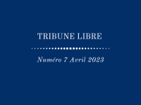 «Les pratiques RSE au Maroc : Apports et limites du droit des affaires » Tribune Libre | N°7 | Avril 2023 | Kaoutar Ballboul